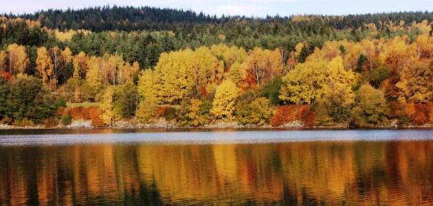 Hotel Racek Černá v Pošumaví Eksteriør billede